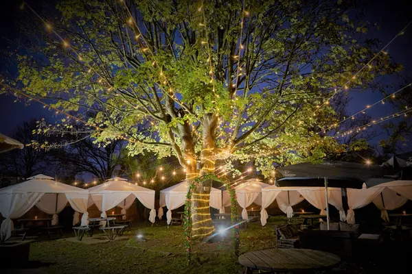 Beer garden at night with a festoon-lit tree and covered cabanas